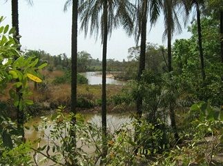 Marakissa rivercamp